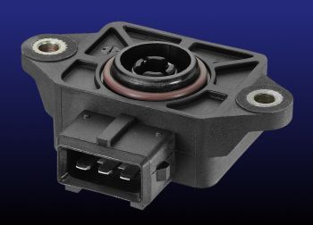 Rotary Sensor Aimed at Price Sensitive Measurement